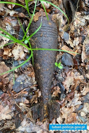 granat moździerzowy usytuowany w liściach